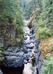 Englishman River Falls II