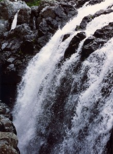 Englishman River Falls