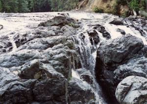 Englishman River Falls