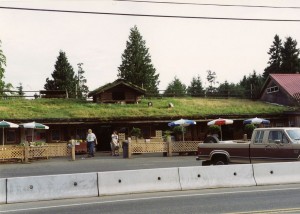 Grass and goats on the roof!