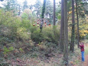 Bart photographs the forest art