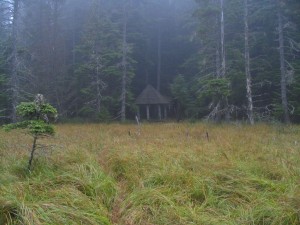 Forest gazebo