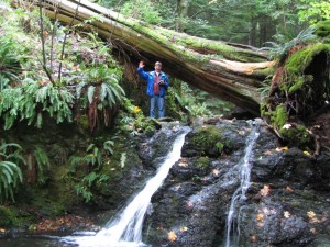 Bart at Rustic Falls