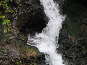 Cascade Falls