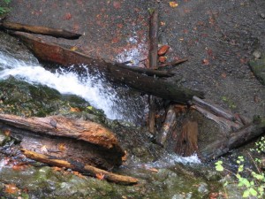 Cascade Falls