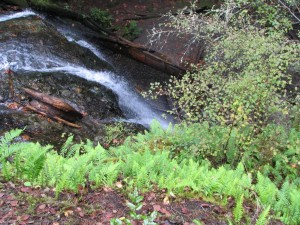 Cascade Falls