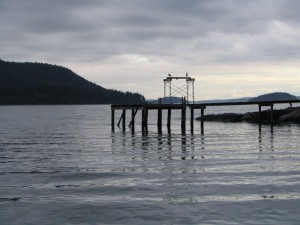 Dock where we saw the otter