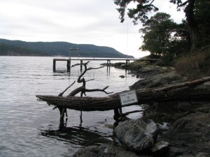 Old dock