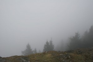 The 'view' from Mt Constitution