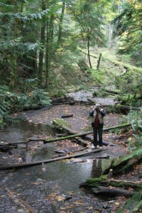 Les photographs the waterfall