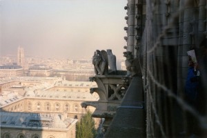 Roof of Notre Dame