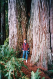 Blurry Bart in the Redwoods