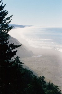 Misty California coast