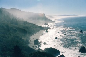 Misty California coast