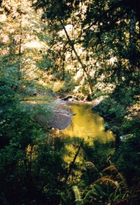 River of gold