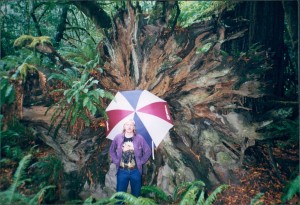 Les in front of the redwood roots