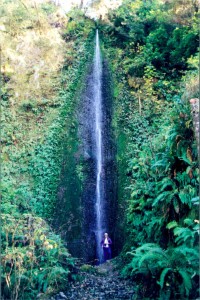 Les by the waterfall