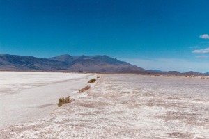 Alvord Desert