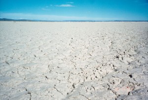 Alvord Desert