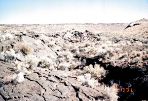 Lava field