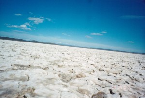 Alvord Desert