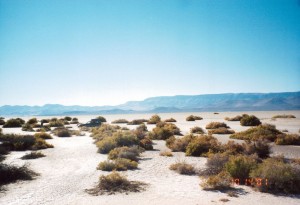 Alvord Desert