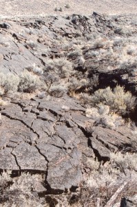 Lava field