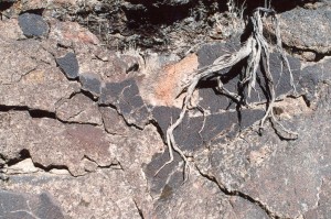 Lava field