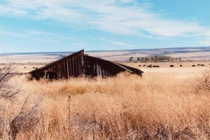 Bart's picture of the shed