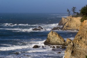 Cape Arago