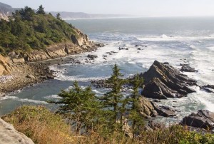 Cape Arago