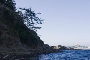 Cape Arago