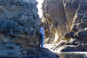 Les observes the sea lion (or seal)