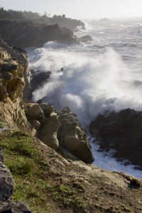 Shore Acres State Park