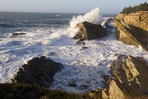 Shore Acres State Park