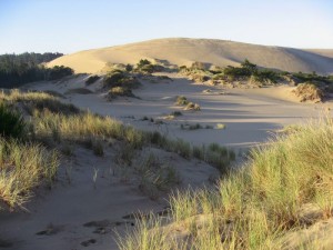 Oregon Dunes