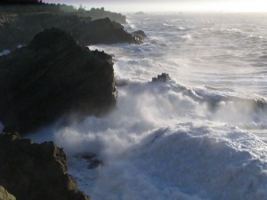 Shore Acres State Park