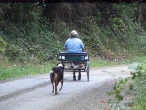 Heading on down the road