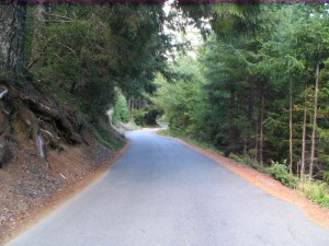 Bear Camp Road