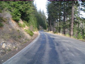 Bear Camp Road