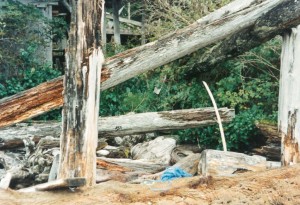 Beach debris