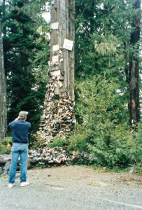 Bart photographs the Tree of Soles