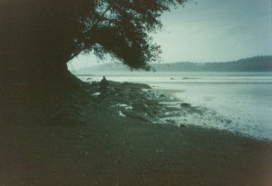 Beach at the campground