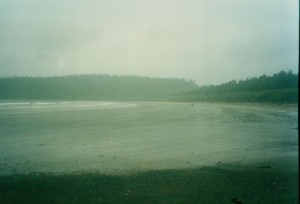 Beach at the campground