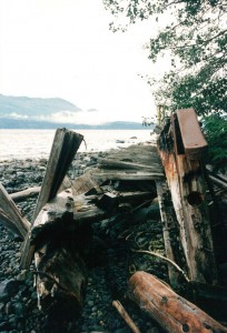 Abandoned dock