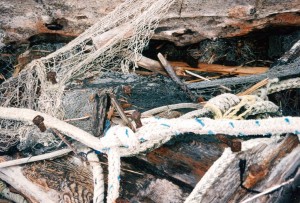 Beach debris