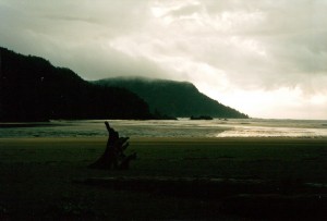 Beach near Cape Scott