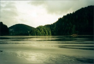 Beach at the campground