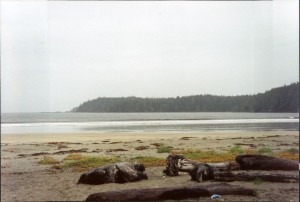 Campground at the beach