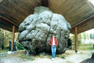 World's largest burl - Port McNeil